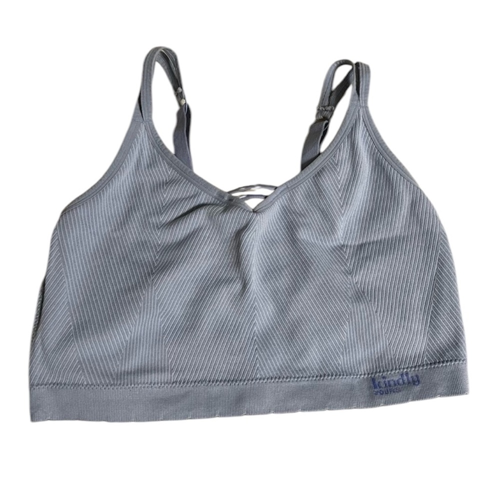 Kindly Yours Periwinkle Sports Bra Size XXXL